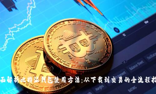 全面解析比特派钱包使用方法：从下载到交易的全流程指南