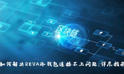 如何解决REVA冷钱包连接不上问题：详尽指南