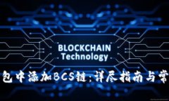 如何在TP钱包中添加BCS链：详尽指南与常见问题解