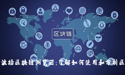 深入探讨波场区块链浏览器：了解如何使用和分析区块链数据