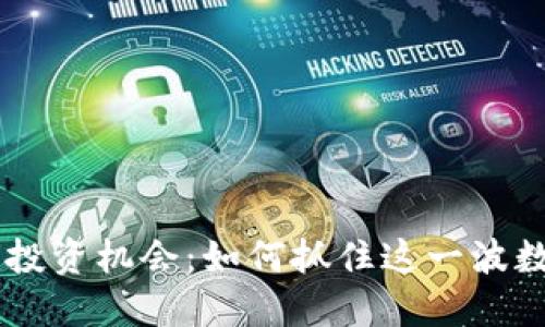 数字货币的5X投资机会：如何抓住这一波数字资产的浪潮