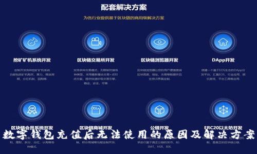 数字钱包充值后无法使用的原因及解决方案