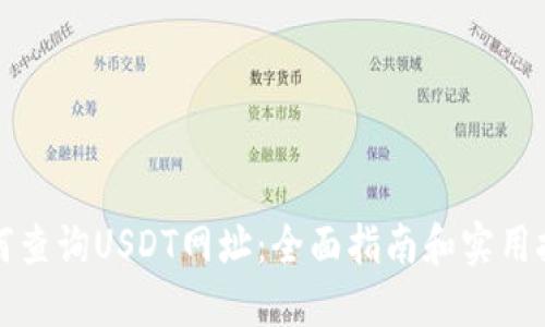 如何查询USDT网址：全面指南和实用技巧