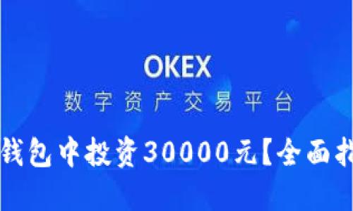 如何在TP钱包中投资30000元？全面指南与技巧