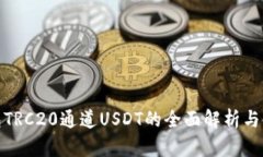 : 冷钱包TRC20通道USDT的全面解析与使用指南