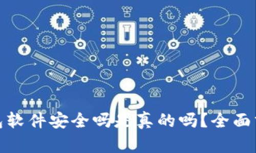 小狐狸钱包软件安全吗是真的吗？全面分析与评测