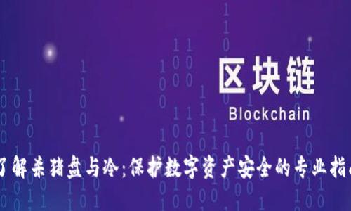 了解杀猪盘与冷：保护数字资产安全的专业指南