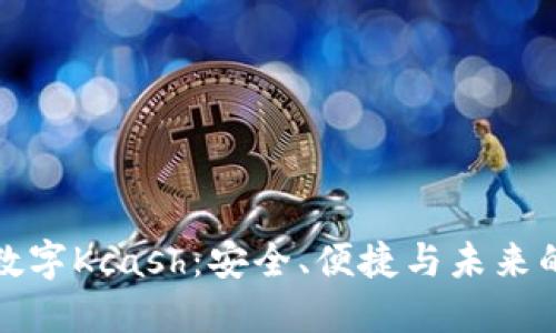 纵览数字Kcash：安全、便捷与未来的趋势